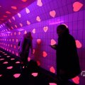 IMG_1595802