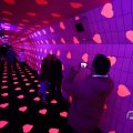 IMG_1595815