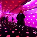 IMG_1595826
